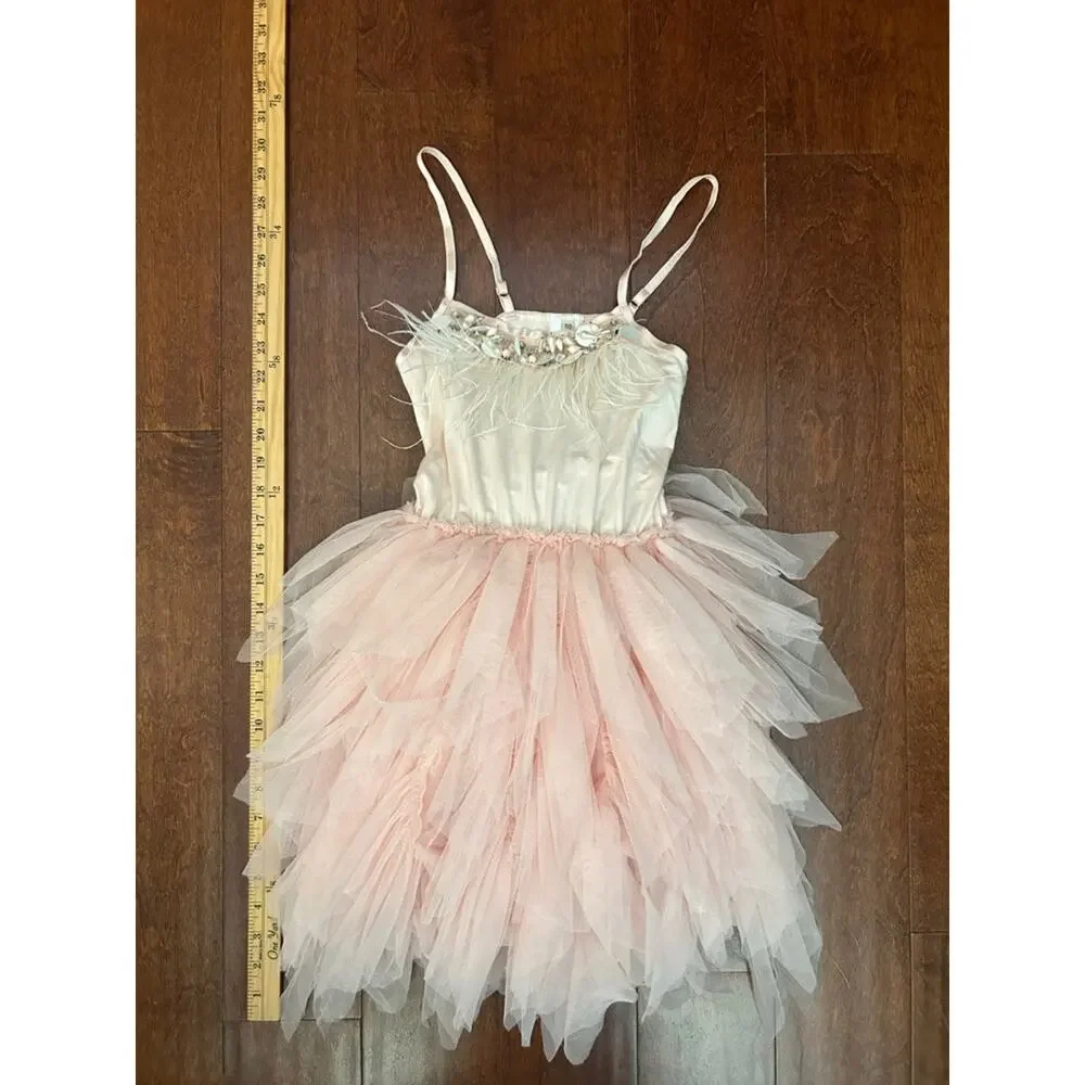 Blush Pink Tulle Ballet Costume Dress with Feather & Sequin Trim, Size 4/5
